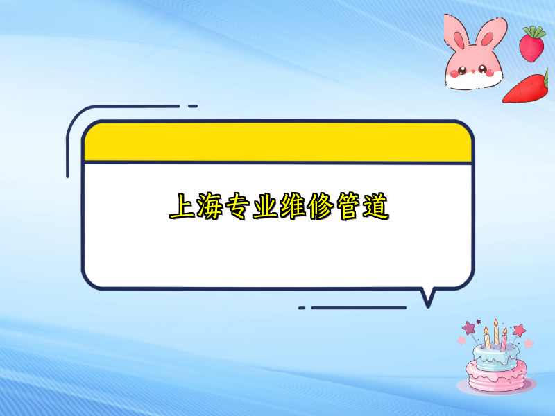 上海專業維修管道